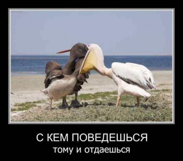 Демотиваторы к концу рабочей недели, супер смешно и прикольно!