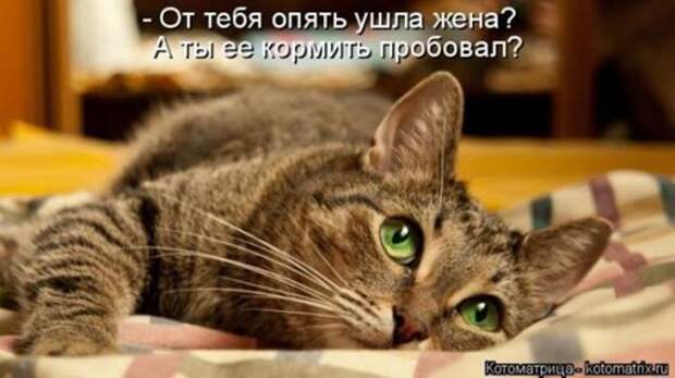 e5bbcec78fff28371106f567840_prev
