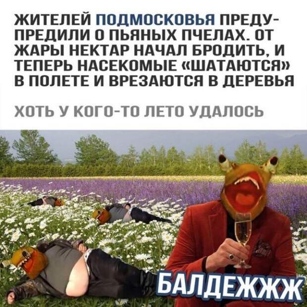 Мемы и приколы про алкоголь