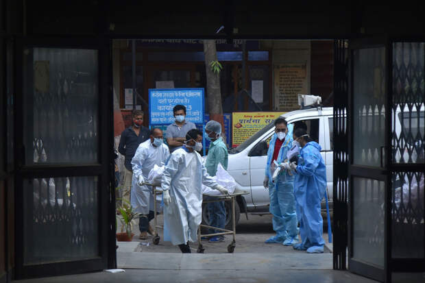 Вирусолог Аграновский: нужно воздержаться от поездок в места вспышки Нипаха