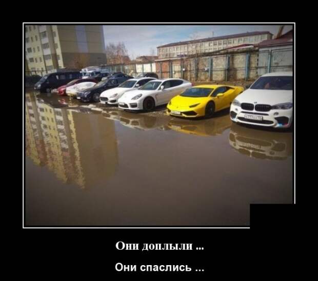Демотиваторы (30 фото)
