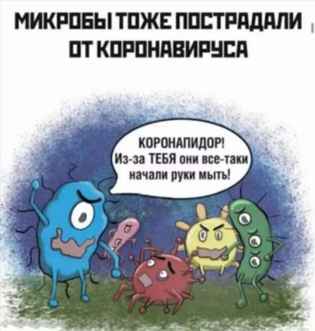 Демотиваторы про коронавирус с надписями. Подборка chert-poberi-dem-koronavirus-chert-poberi-dem-koronavirus-31590603092020-18 картинка chert-poberi-dem-koronavirus-31590603092020-18