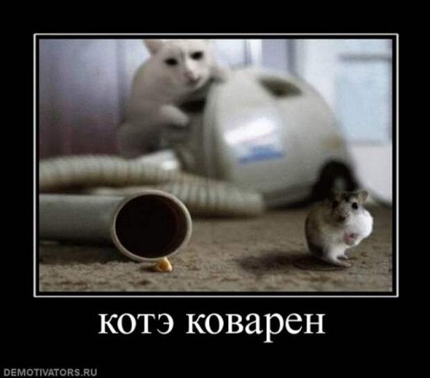 Демотиваторы с приколами на Поржать.ру