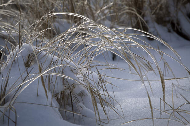 Россиян предупредили о ледяном дожде