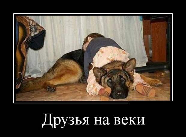 Демотиваторы  демотиваторы, прикол, смех, юмор