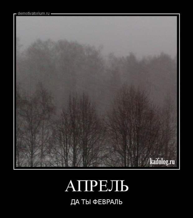 Прикольные русские демотиваторы - 231 (55 демок)