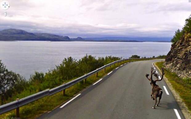 Google street view