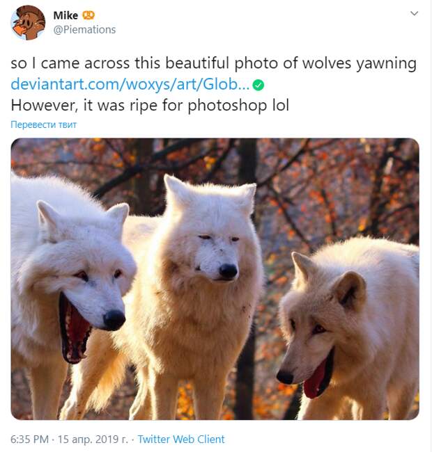 Волки смеются