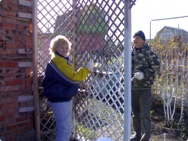Флористика Фоторепортаж Экскурсия Ассамбляж Приглашаю всех в гости на мою любимую дачу фото 48