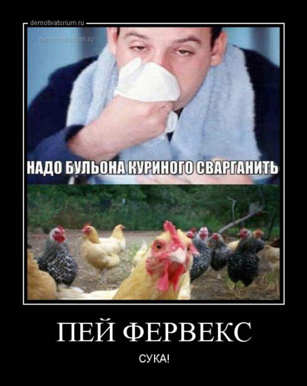 Прикольные демотиваторы для всех (15 шт)