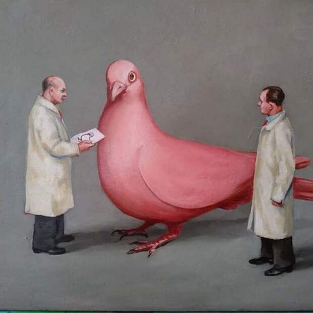 Птица мира. Автор: Toni Hamel. Птица мира. Автор: Toni Hamel.