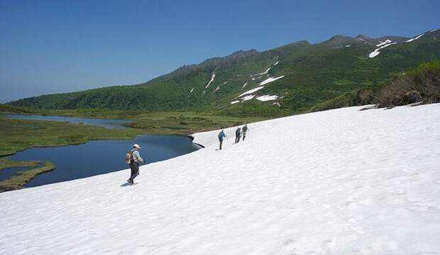 Природная тропа Хоккайдо, Япония путешествия, факты, фото