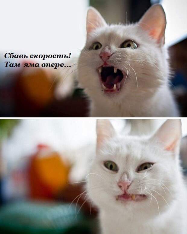 Подборка автоприколов