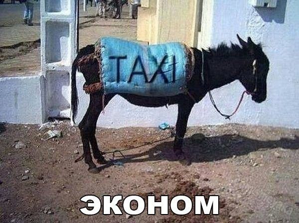 Смехопанорама. Лучшая подборка