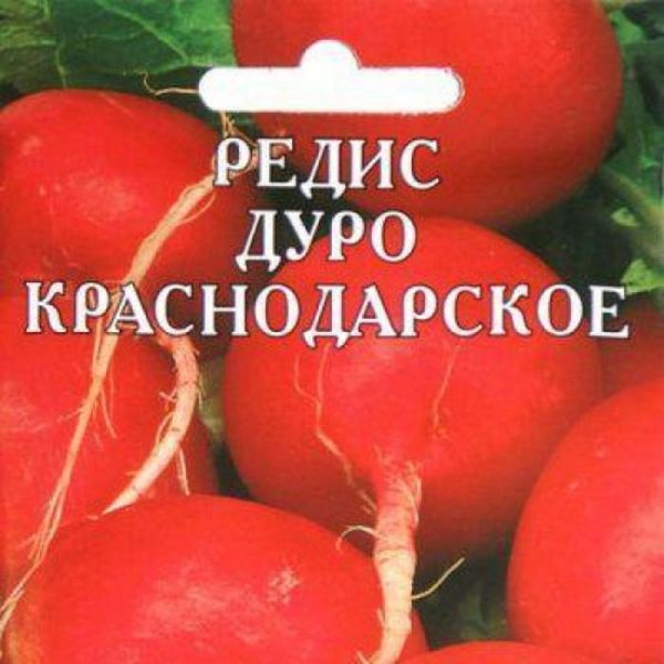 Классная коллекция забавных надписей и  объявлений