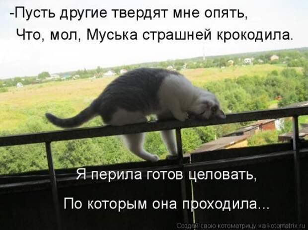 Новая котоматрица для настроения. Смотрим приколы