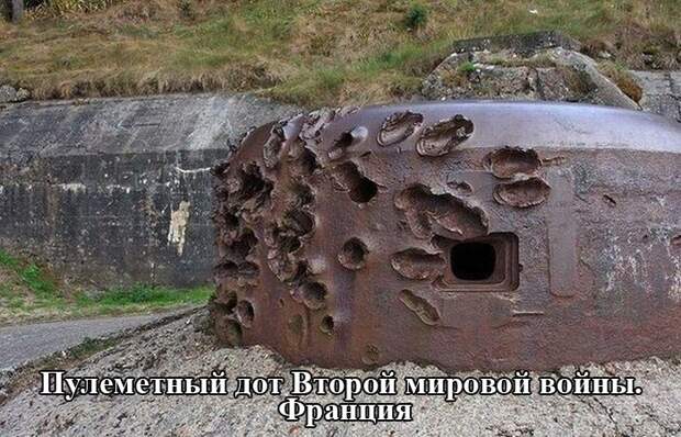 Прикольные картинки (91 фото)