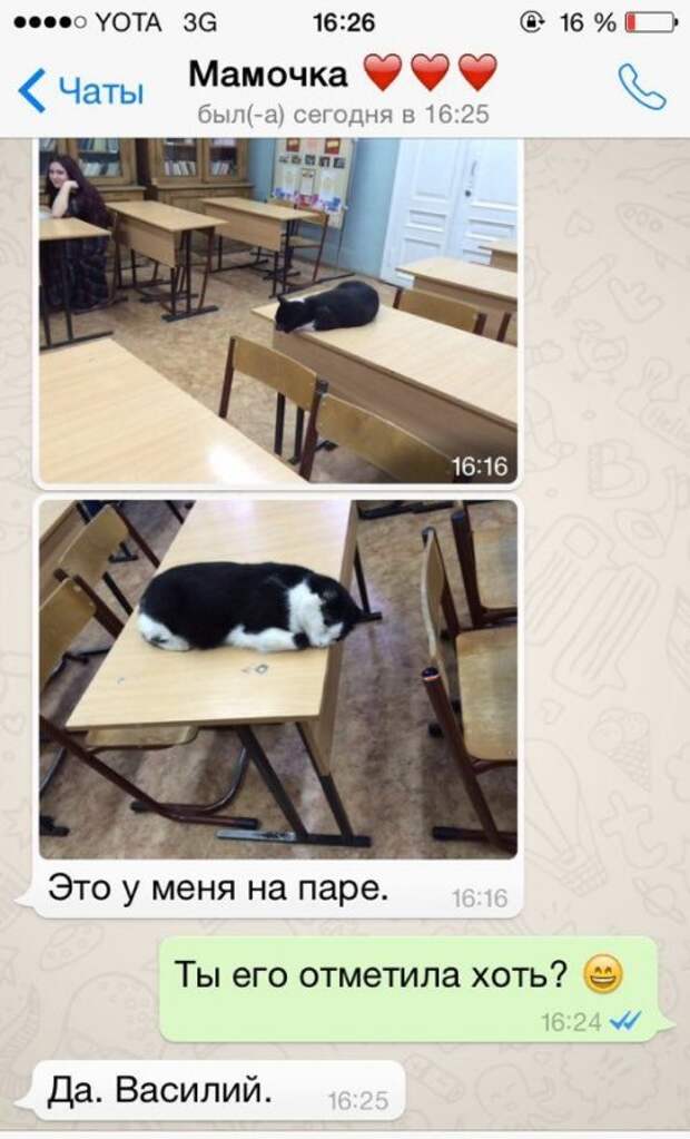 Прикольные картинки в середине недели (56 шт)