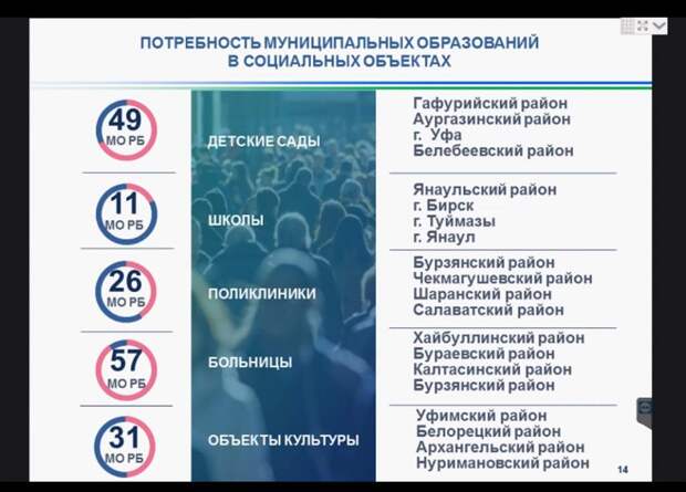 паволпал.jpg