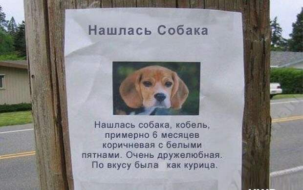 Смешные надписи и объявления  надписи, объявления, смешные