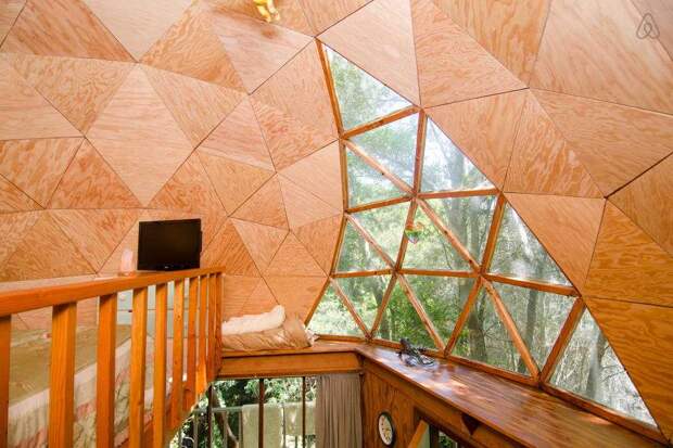 Внутри домика-гриба - самого популярного сдаваемого в аренду объекта на Airbnb