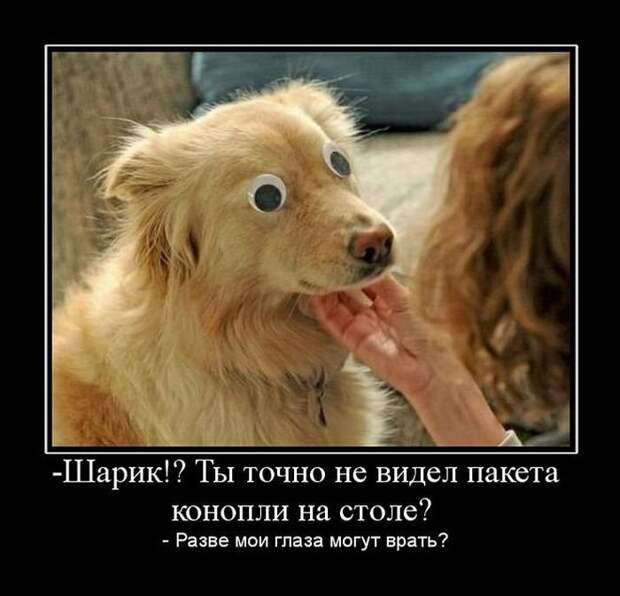 30 демотиваторов дня от 28-02-2014
