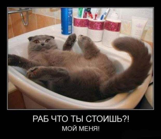 Демотиваторы