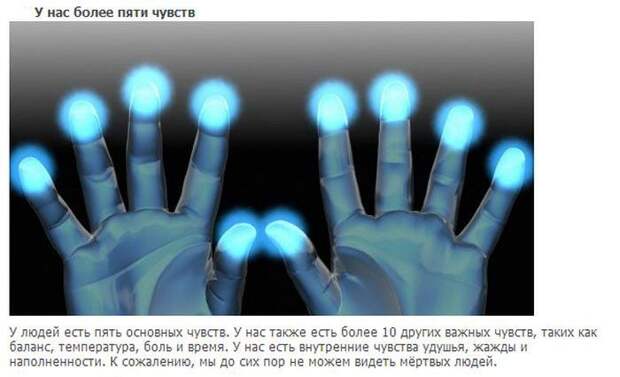 20 интересных фактов о нашем теле