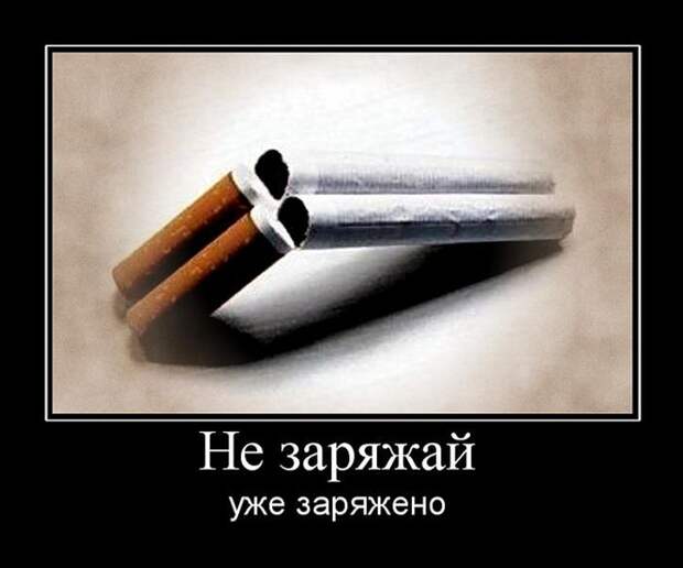 Демотиваторы (30 фото)