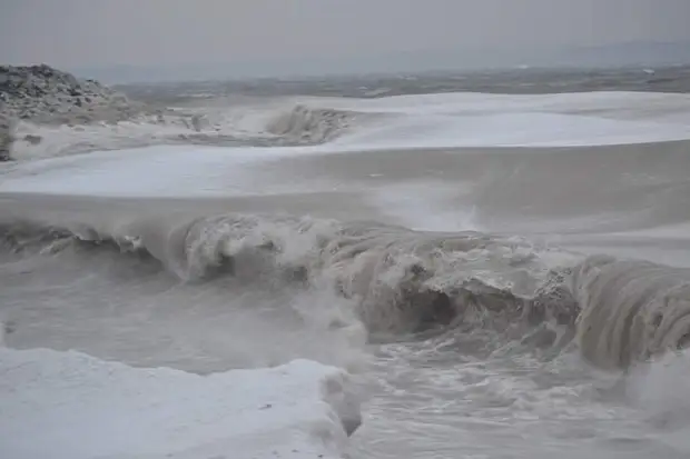 Замерзает ли японское море. Замерзшие волны на море. Замерзшие волны на Балтике. Замерзшее море во льдах. Японское море зимой замерзает.