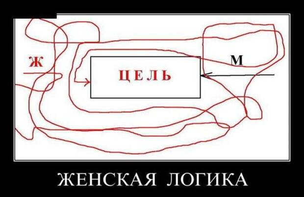 Новые воскресные демотиваторы