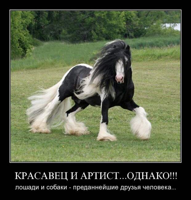 Демотиваторы (107 фото)
