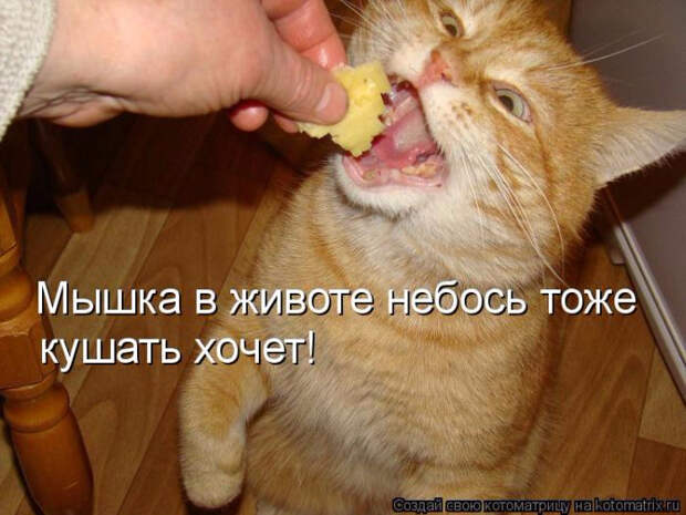 1429823311_40 (700x525, 314Kb)