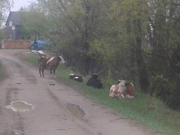 Передышка.