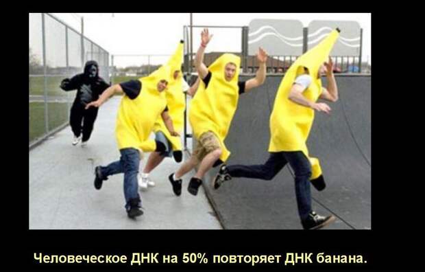 Мир удивителен, господа! Мир удивителен, господа! интересное, мир, невероятное