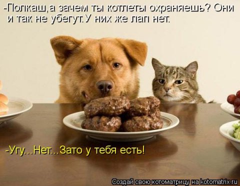 Новые крутые котоматрицы первой недели октября (50 фото) Новые крутые котоматрицы первой недели октября (50 фото)