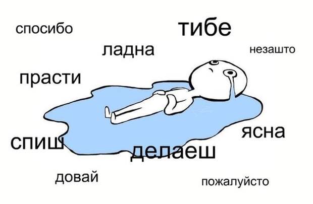 Смешные картинки с подписями катинки, прикол, юмор
