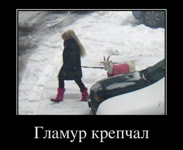 Демотиваторы " 101 %" 24/01/12