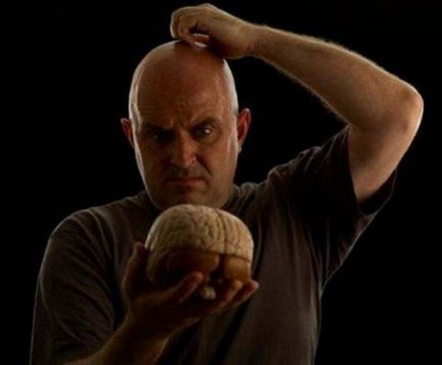 http://humanology.me/Levkova/mozg_vozrast_1.jpg