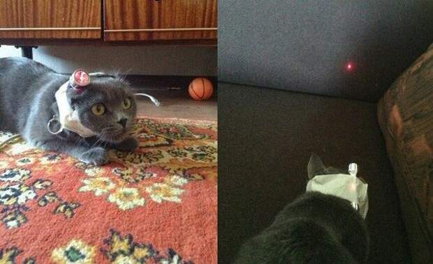 Голь - на выдумку хитра!