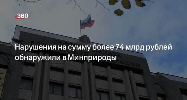 Счетная палата выявила в Минприроды 56 нарушений на 74 млрд рублей