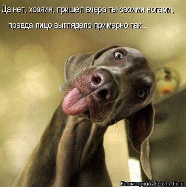 image (450x453, 163Kb)