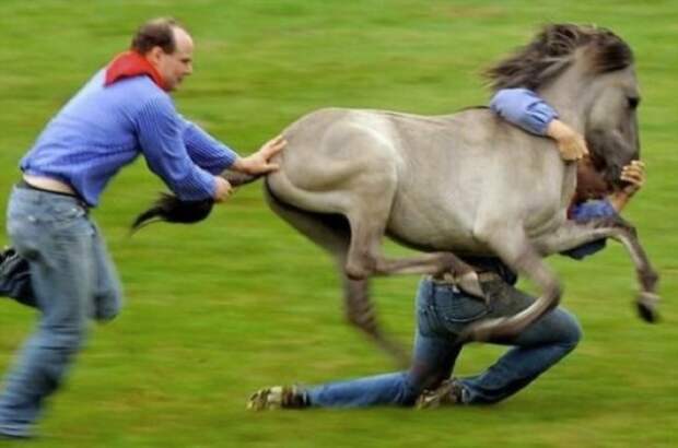 За секунду до ... приколы, смешно до слез