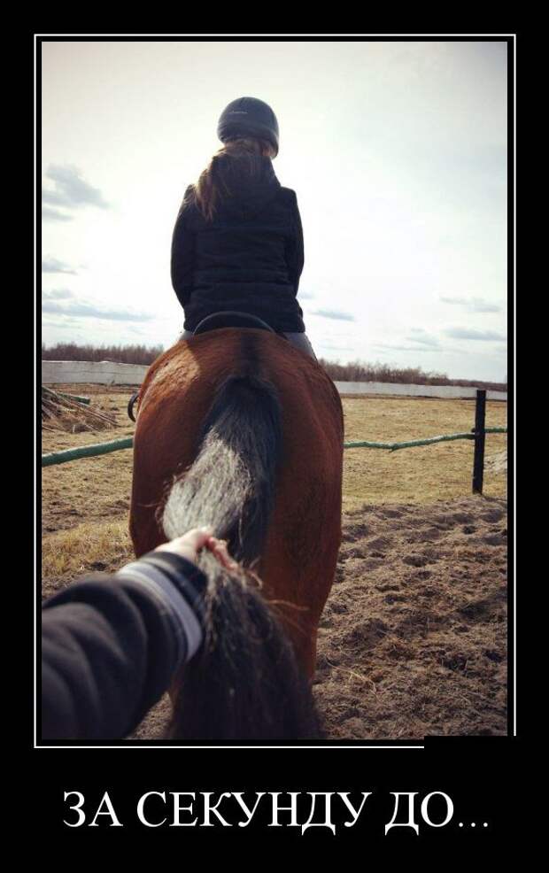 Демотиваторы №1187 (30 фото) Демотиваторы №1187 (30 фото)