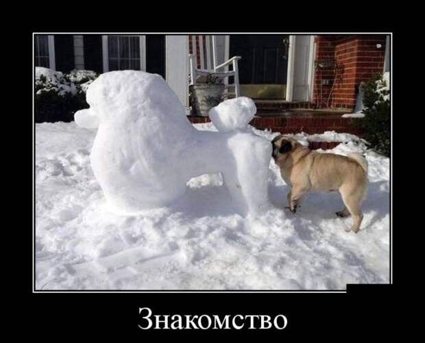Демотиваторы 15/01 Демотиваторы 15/01