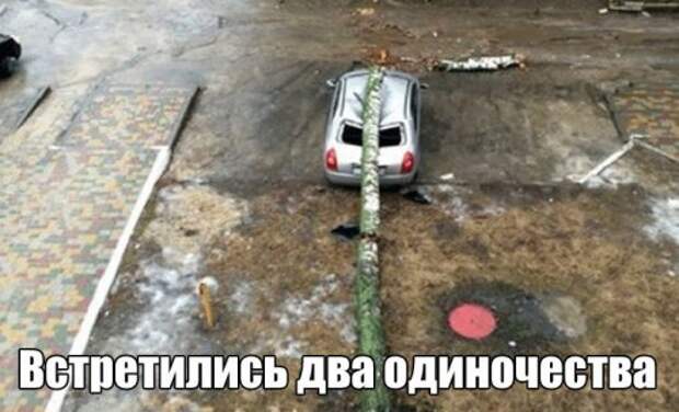 Приколы на автотематику (34 шт)
