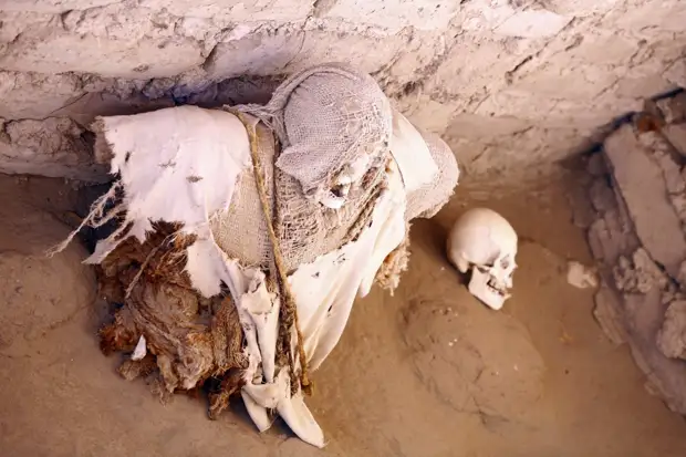 Учёные рассказали, чем болела скифская девочка, умершая 2600 лет назад