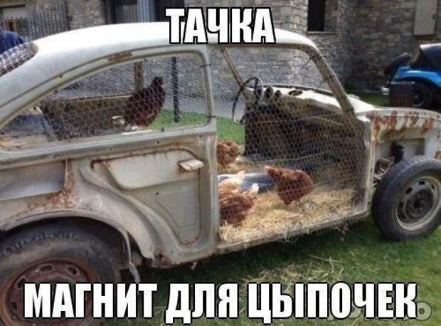 Автомобиль не роскошь авто, автомобиль, юмор