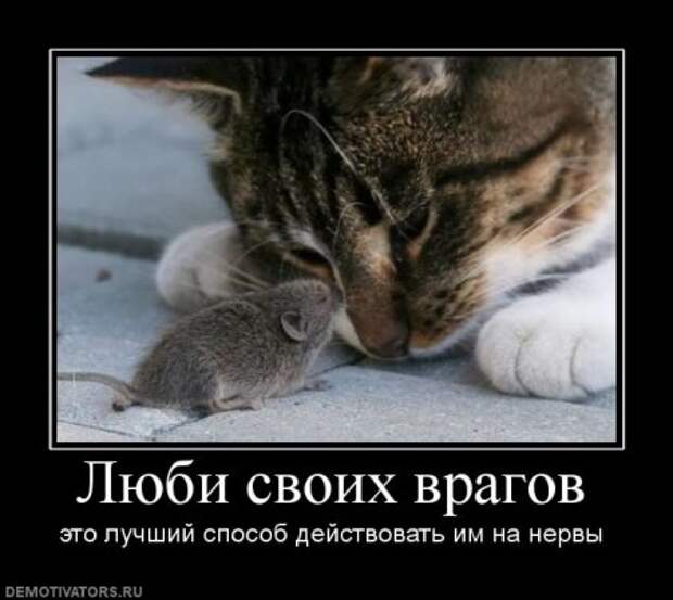 Серьезные и умные демотиваторы.