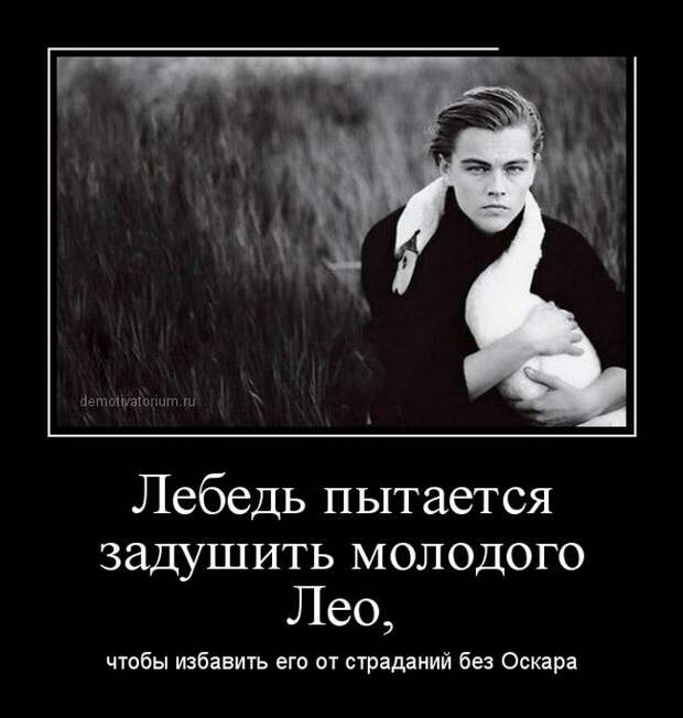 Подборка  демотиваторов демотиваторы, юмор
